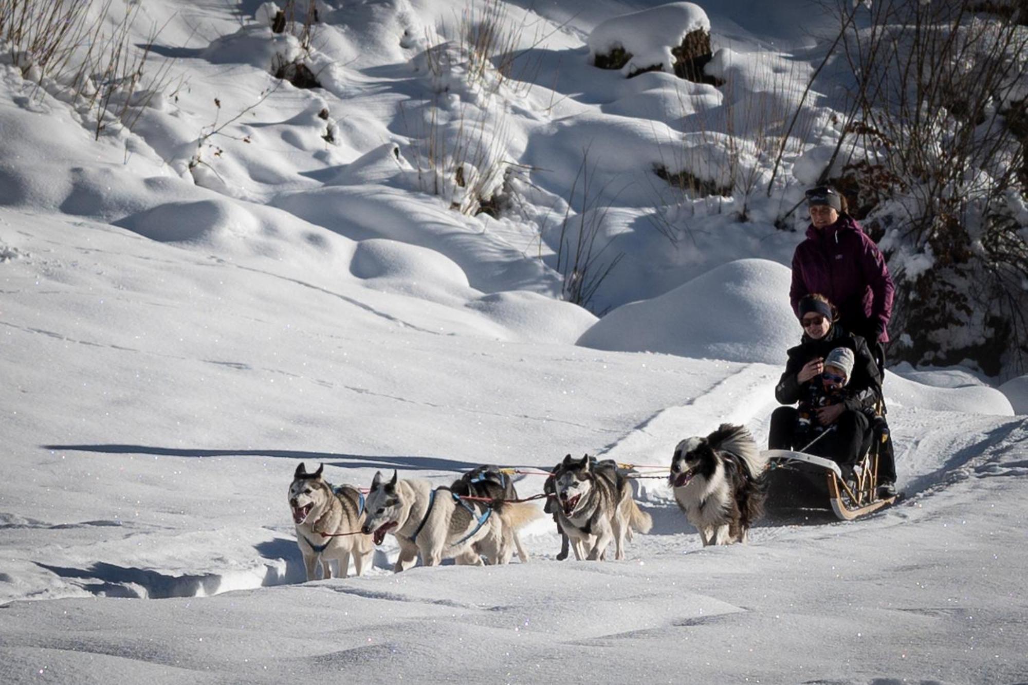 Huettenhotel Husky Lodge Muotathal ภายนอก รูปภาพ