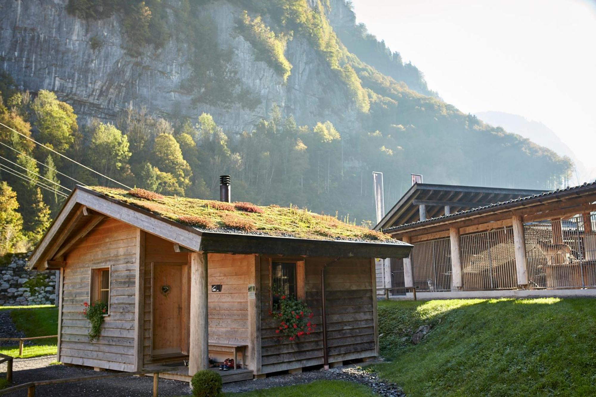 Huettenhotel Husky Lodge Muotathal ภายนอก รูปภาพ