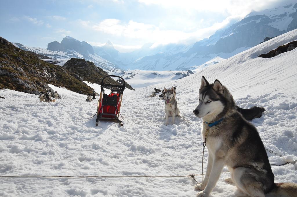 Huettenhotel Husky Lodge Muotathal ภายนอก รูปภาพ